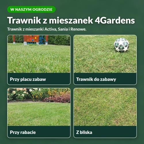 Trawnik z mieszanek 4Gardens w naszym ogrodzie
