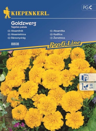Aksamitka 'Goldzwerg' – Żółta – Nasiona – Kiepenkerl - przód