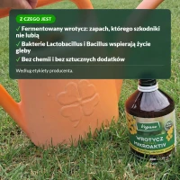 Wrotycz ekstrakt: z czego jest