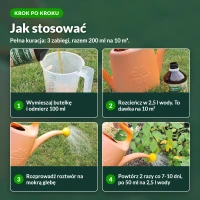 Jak stosować wrotycz ekstrakt, 4 kroki