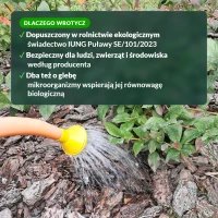 Dlaczego wrotycz: rolnictwo ekologiczne, bezpieczny