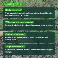 Wrotycz ekstrakt: najczęstsze pytania