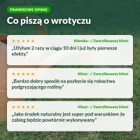 Opinie klientów o wrotyczu