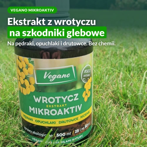 Wrotycz ekstrakt na szkodniki glebowe