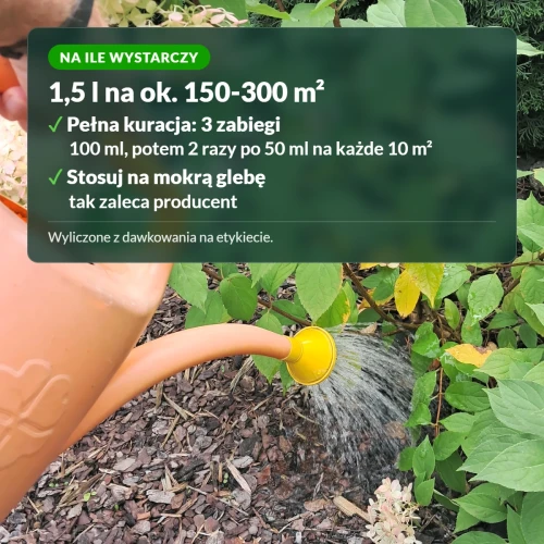 Wrotycz ekstrakt: na ile wystarczy