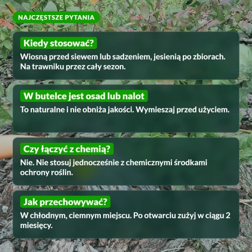 Wrotycz ekstrakt: najczęstsze pytania