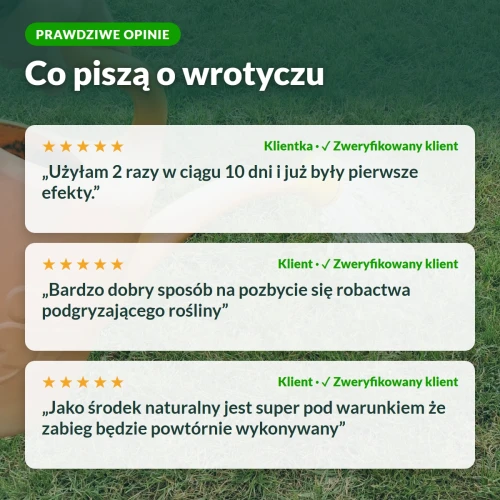Opinie klientów o wrotyczu