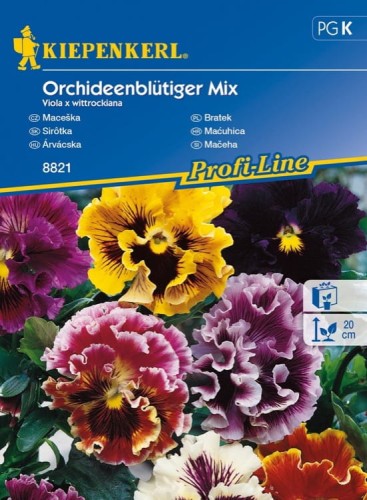 Bratek Ogrodowy Mix – Nasiona – Kiepenkerl - przód
