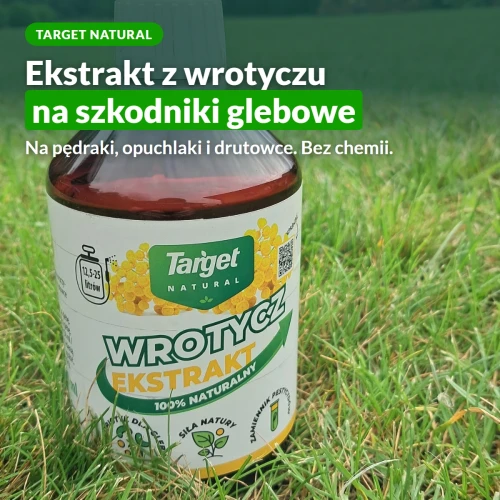 Wrotycz ekstrakt na szkodniki glebowe