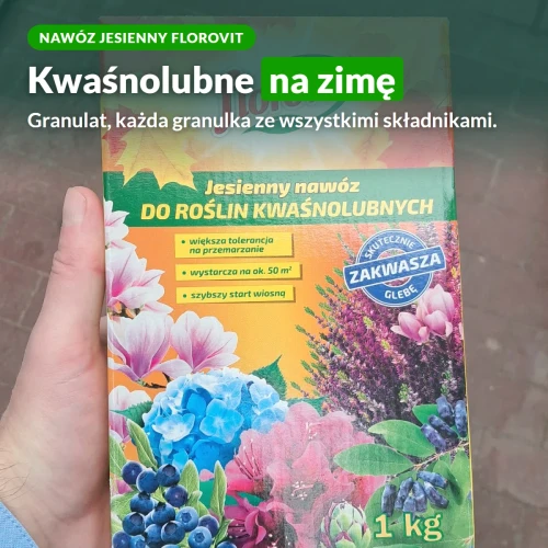 Jesienny nawóz Florovit do roślin kwaśnolubnych
