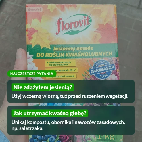 Florovit jesienny do kwaśnolubnych: najczęstsze pytania