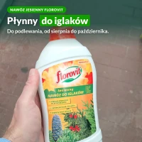 Jesienny nawóz płynny Florovit do iglaków