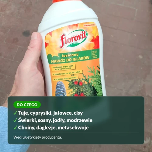 Florovit jesienny do iglaków: do jakich roślin