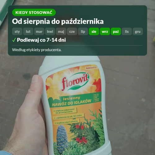 Kiedy stosować jesienny nawóz Florovit do iglaków