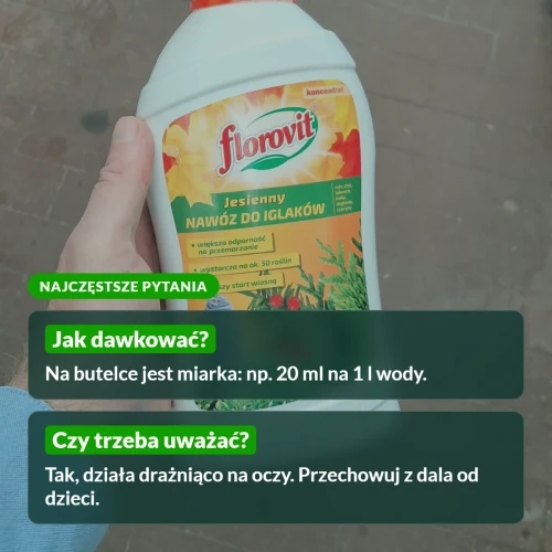 Florovit jesienny do iglaków: najczęstsze pytania
