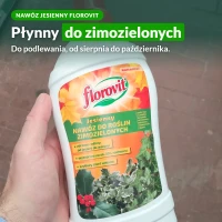 Jesienny nawóz płynny Florovit do roślin zimozielonych