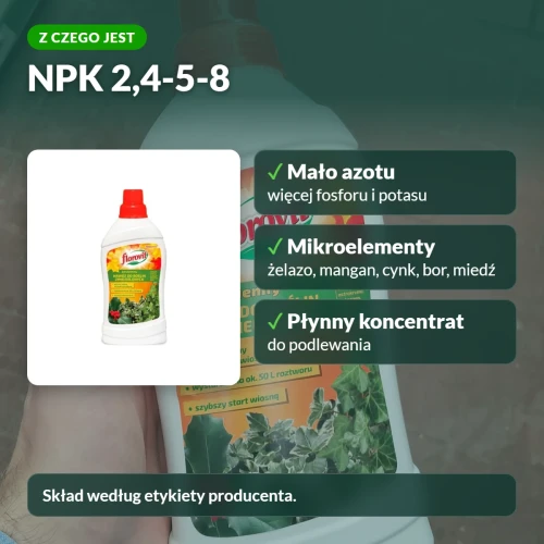 Florovit jesienny do zimozielonych: skład NPK 2,4-5-8