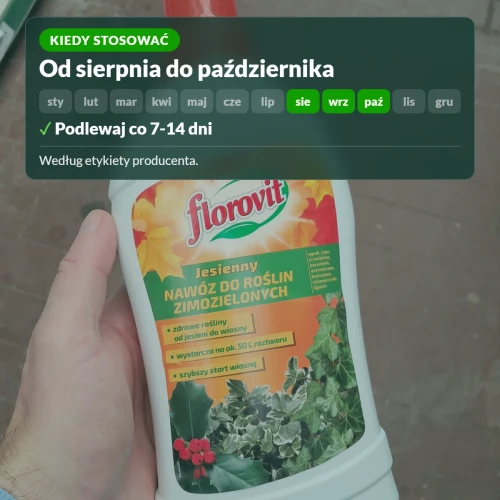 Kiedy stosować jesienny nawóz Florovit do zimozielonych