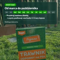Kiedy siać trawnik odporny na psa