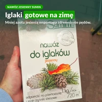 Nawóz jesienny do iglaków Sumin: iglaki gotowe na zimę