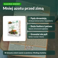 Dlaczego nawóz jesienny do iglaków Sumin