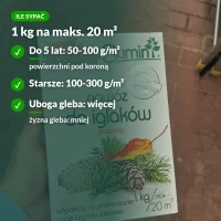 Nawóz jesienny do iglaków Sumin: ile sypać