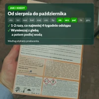 Jak i kiedy stosować nawóz jesienny do iglaków Sumin