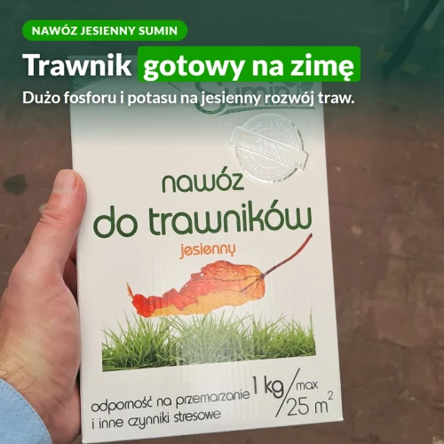 Nawóz jesienny do trawników Sumin: trawnik gotowy na zimę