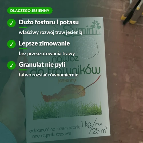 Dlaczego nawóz jesienny do trawników Sumin