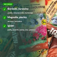 Nawóz do borówek, azalii, różaneczników, hortensji, wrzosów i iglaków
