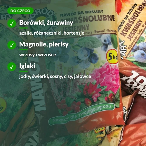 Nawóz do borówek, azalii, różaneczników, hortensji, wrzosów i iglaków