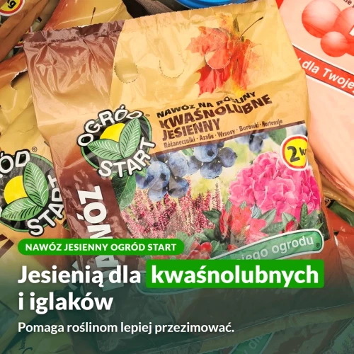 Nawóz jesienny Ogród Start do roślin kwaśnolubnych i iglaków