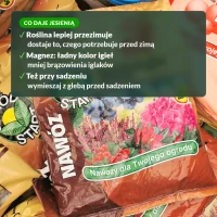 Co daje nawóz jesienny roślinom kwaśnolubnym