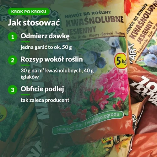 Jak stosować nawóz jesienny do kwaśnolubnych