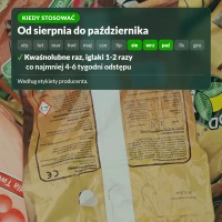Kiedy stosować nawóz jesienny do kwaśnolubnych
