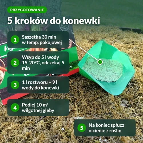 Turkuć Stoper: przygotowanie w 5 krokach