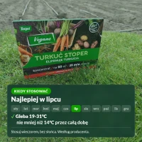 Kiedy stosować Turkuć Stoper: najlepiej w lipcu