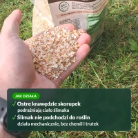 Jak działa Ślimak Stoper: ostre krawędzie skorupek