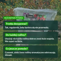 Ślimak Stoper: najczęstsze pytania