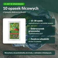 Dobroczynek gruszowiec Vegano: co jest w opakowaniu