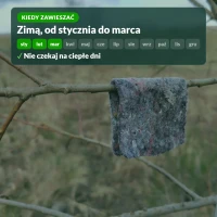 Kiedy zawieszać dobroczynka: zimą, od stycznia do marca