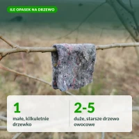 Ile opasek z dobroczynkiem na drzewo