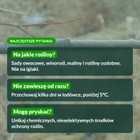 Dobroczynek gruszowiec: najczęstsze pytania