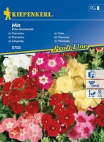 Floks Drymmonda Mix – Nasiona – Kiepenkerl - przód