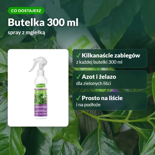 Regenerator Vegano do roślin zielonych: co dostajesz