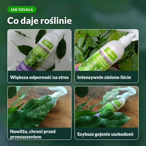 Jak działa Regenerator Vegano do roślin zielonych