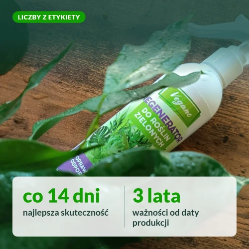 Regenerator Vegano: co 14 dni, 3 lata ważności