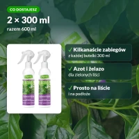 Regenerator Vegano do roślin zielonych: co dostajesz
