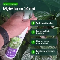 Jak stosować Regenerator Vegano: mgiełka co 14 dni