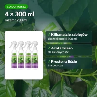 Regenerator Vegano do roślin zielonych: co dostajesz